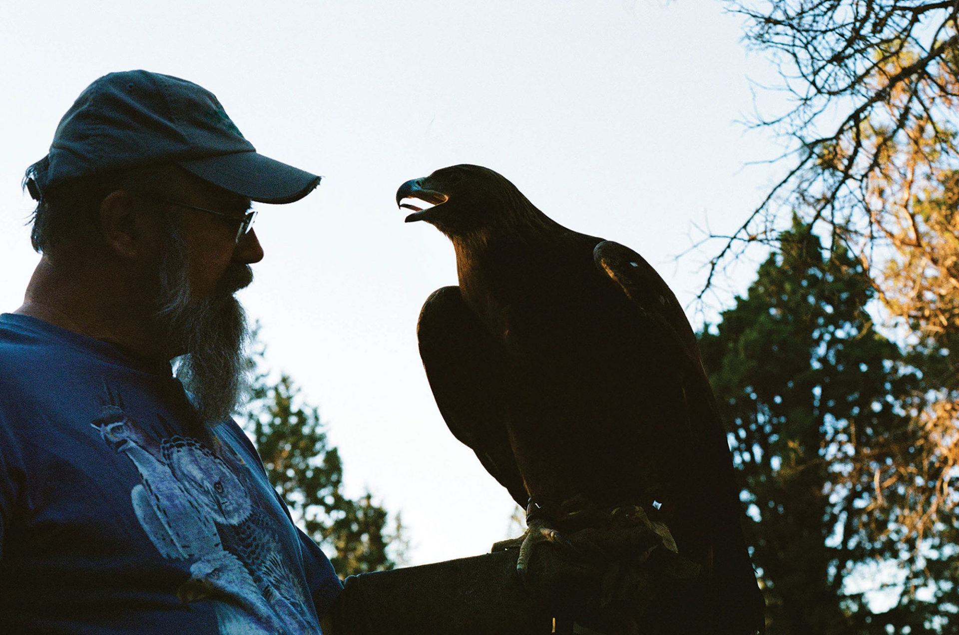 Shadowed image of man wearing a hat, has a beard and glasses—holding a falcon in his left hand.