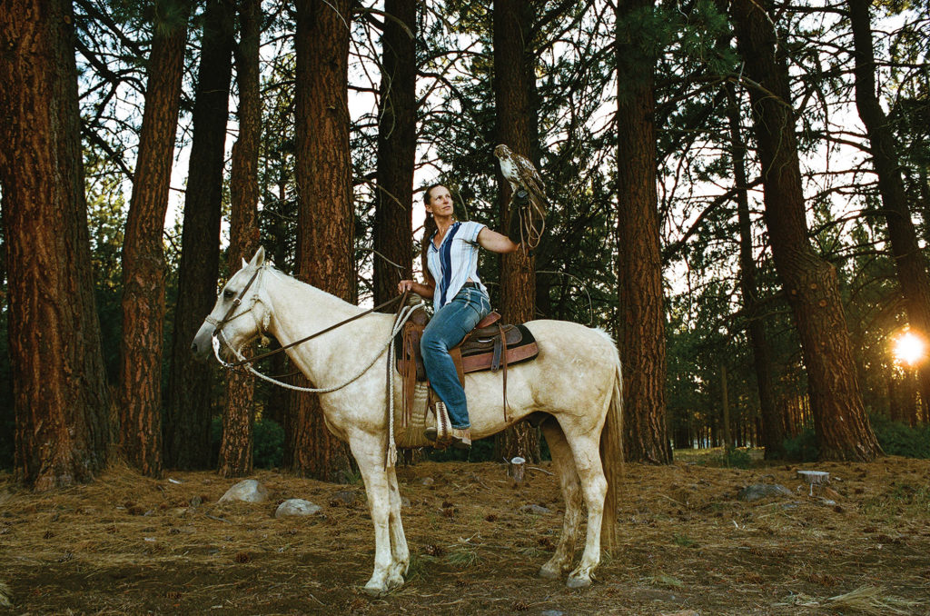 Saralee Lawrence on top a white horse with falcon in hand