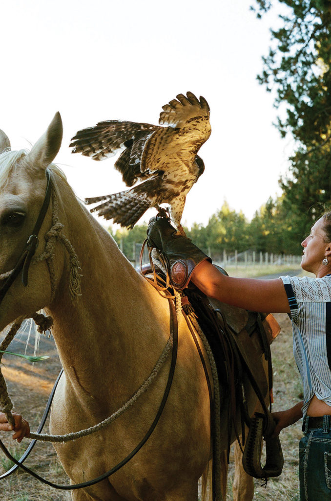 Saralee Lawrence with falcon on a horse