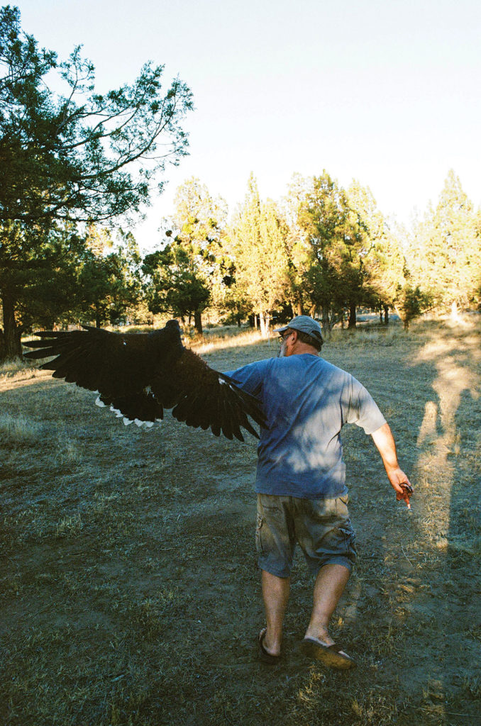 Brian Kellogg starting a run with bird in hand