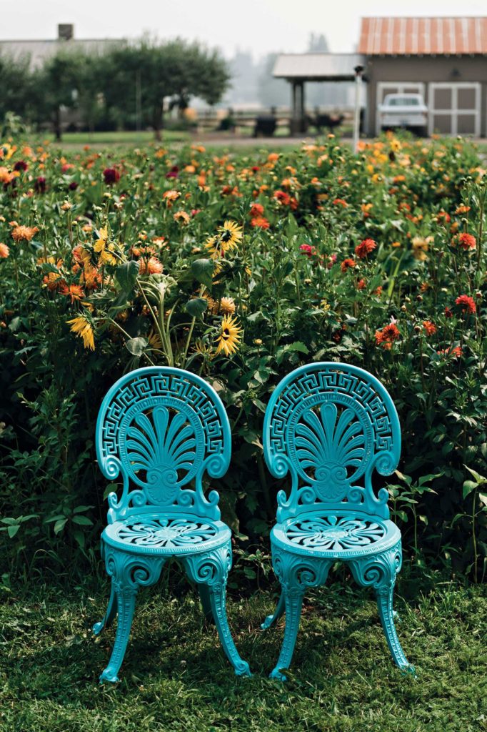 Two blue chairs placed in front of a flower garden.