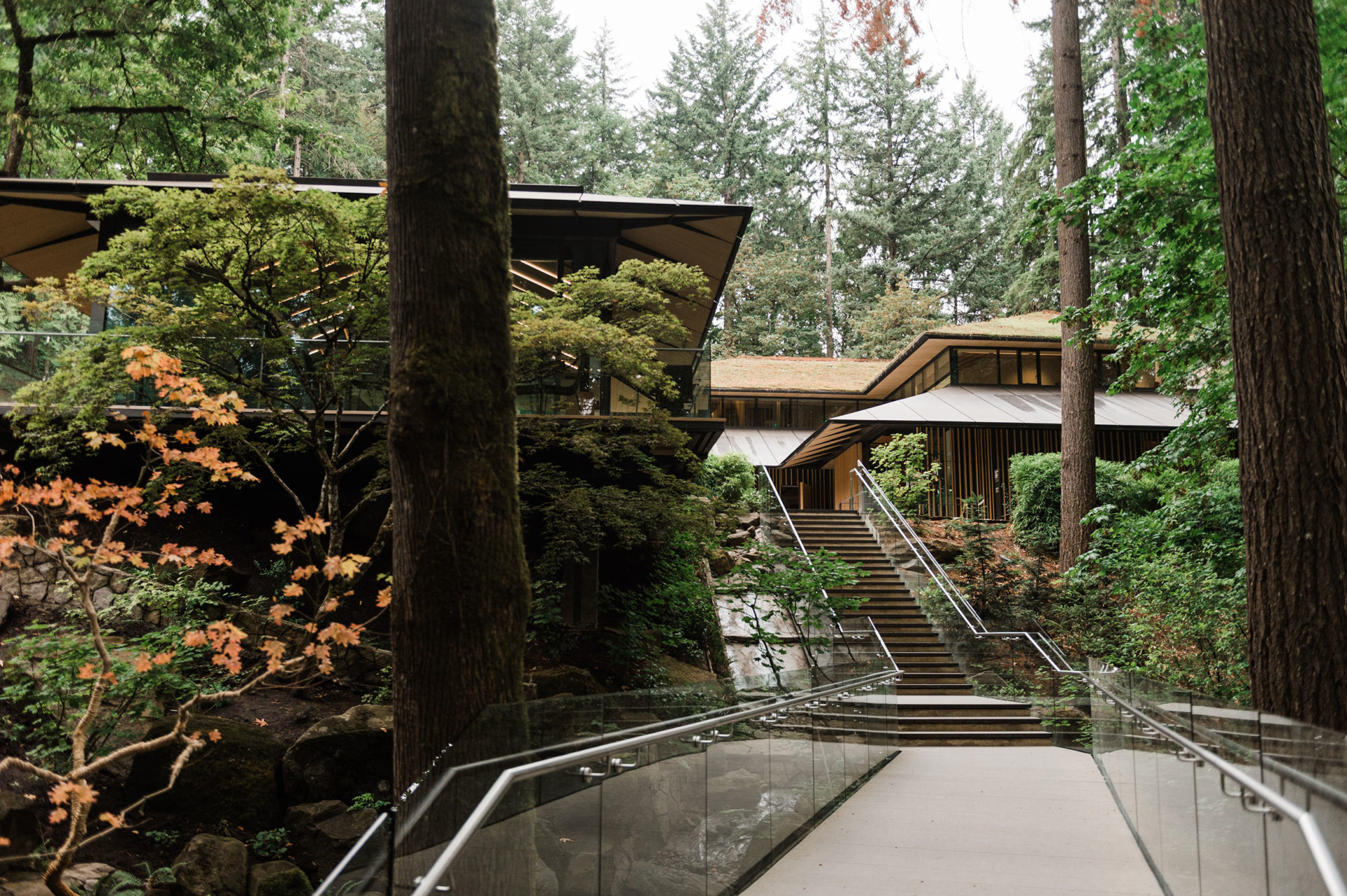 House in the forest, with path lined w/glass and stairs leading up to it.