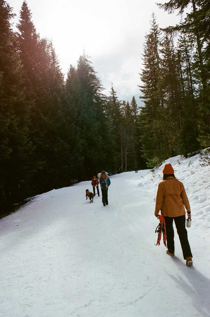 Three people and a dog walking through a snowy forrest