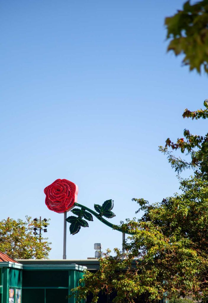 A large rose sign on the top of a building