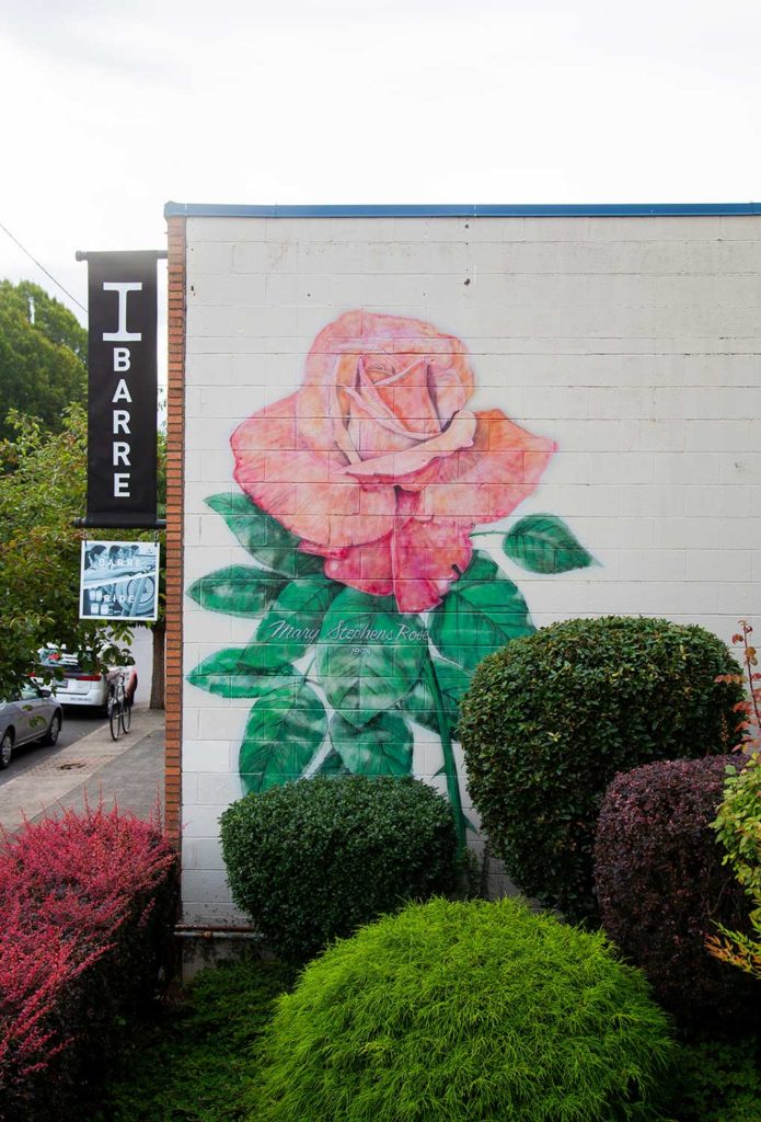 Street art of a large rose on the side of a building