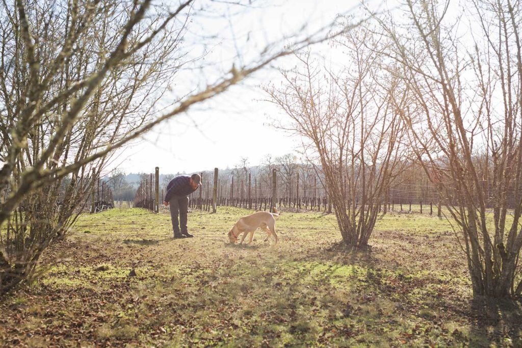 A man and a dog in a field with barren fall trees