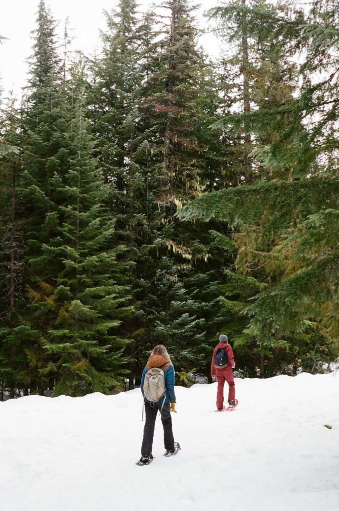 Two people walking into a snowy forrest