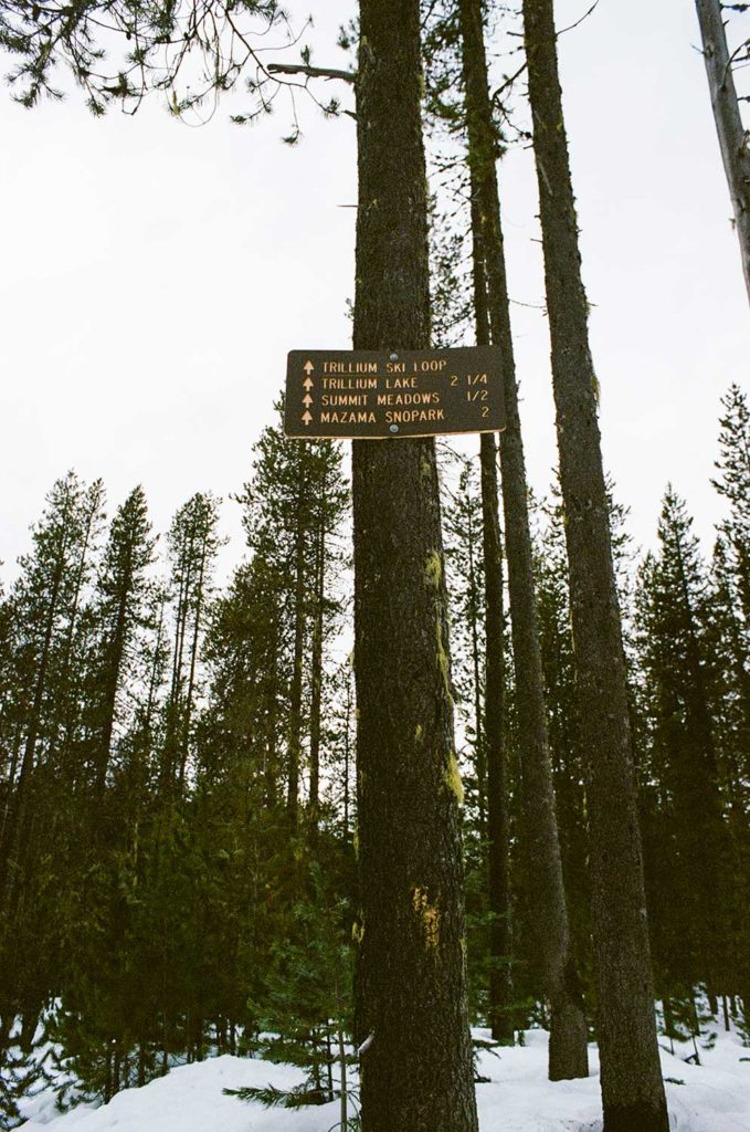 A sign hung on a tall tree in a snowy forrest