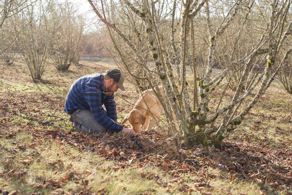 A man kneeling next to his dog in a forrest of barren fall trees